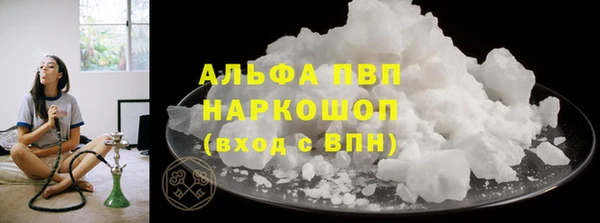 тгк Белокуриха