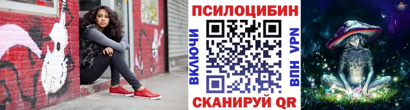 как найти закладки Бологое Галлюциногенные грибы мицелий